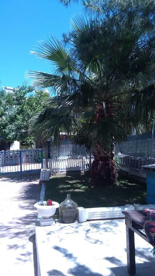 **  Sunocean Hotel Oludeniz Turkey