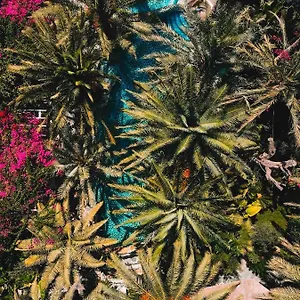 Hotel Flamingo & - Pet Friendly, Ölüdeniz